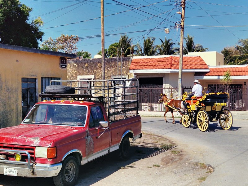 20250327_092642 (Kopiowanie).jpg