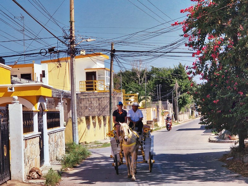 20250327_092955 (Kopiowanie).jpg