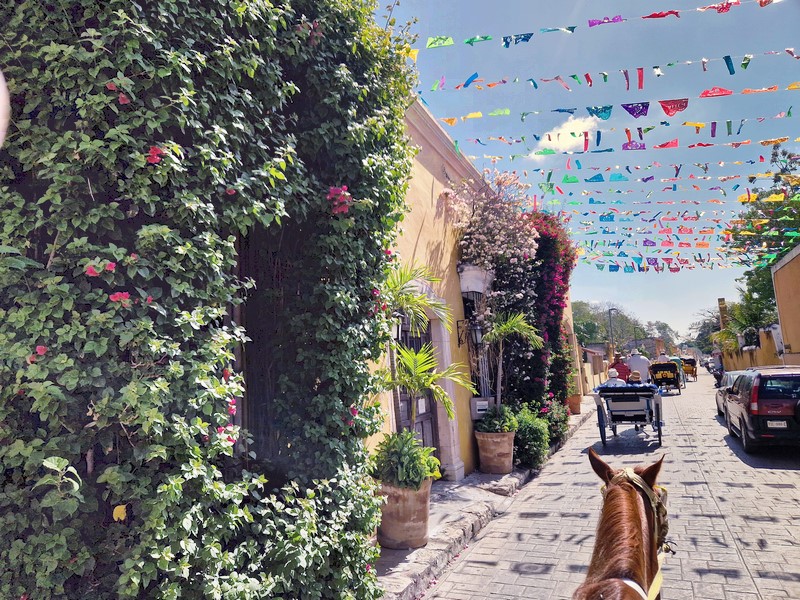 20250327_093302 (Kopiowanie).jpg