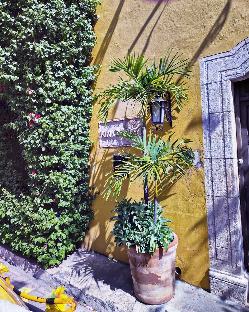 20250327_093306 (Kopiowanie).jpg