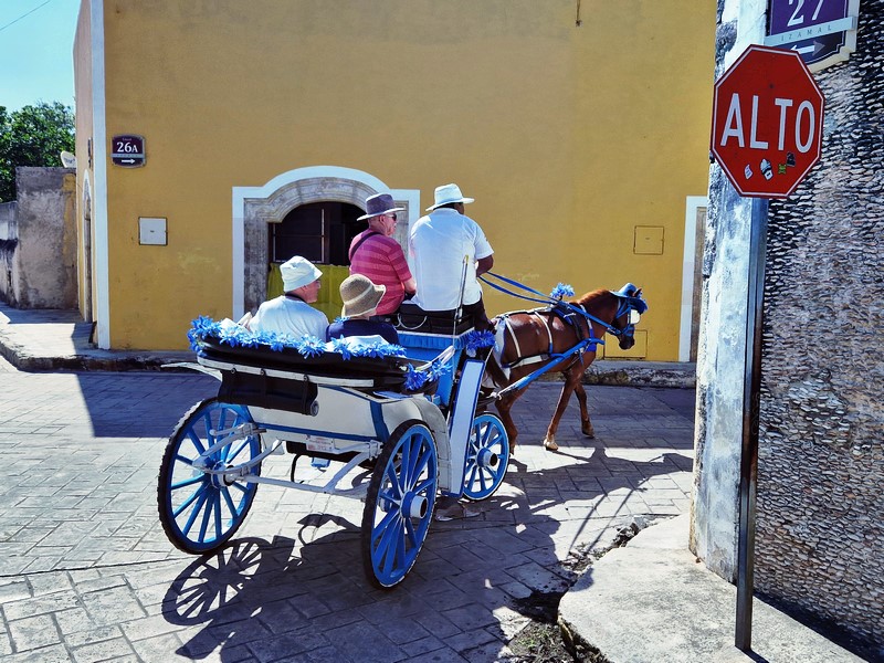 20250327_093516 (Kopiowanie).jpg