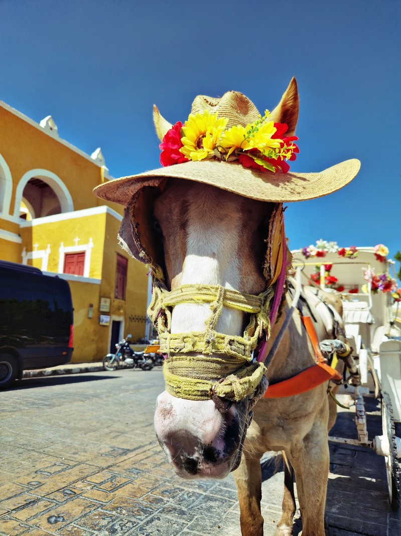 20250327_094047 (Kopiowanie).jpg