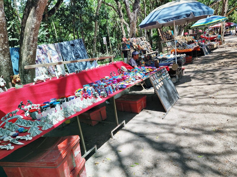 20250327_123535(0) (Kopiowanie).jpg