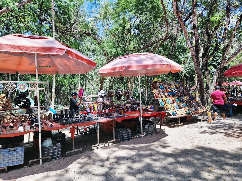 20250327_123602 (Kopiowanie).jpg