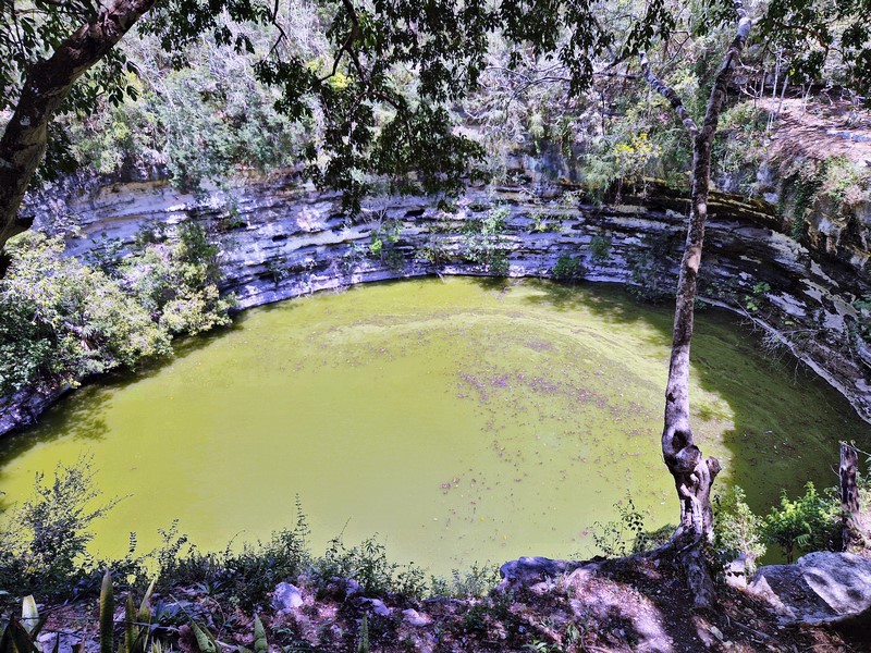 20250327_124626 (Kopiowanie).jpg