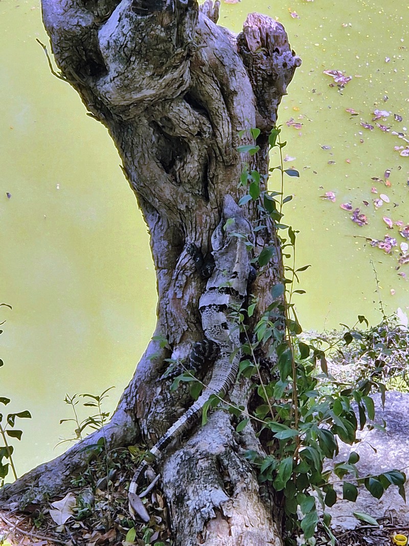 20250327_125732 (Kopiowanie).jpg