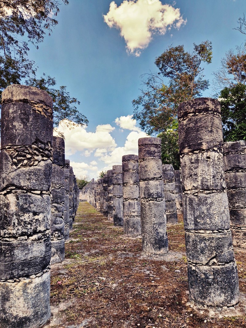 20250327_131553 (Kopiowanie).jpg