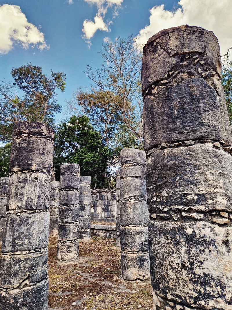 20250327_131556 (Kopiowanie).jpg