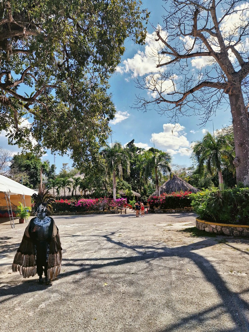 20250327_142539 (Kopiowanie).jpg