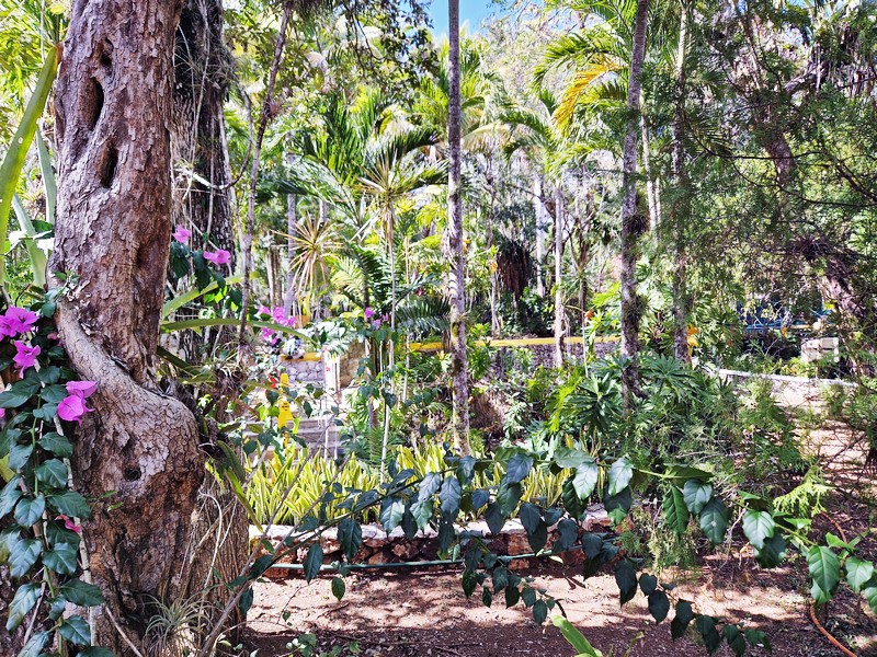 20250327_142838 (Kopiowanie).jpg