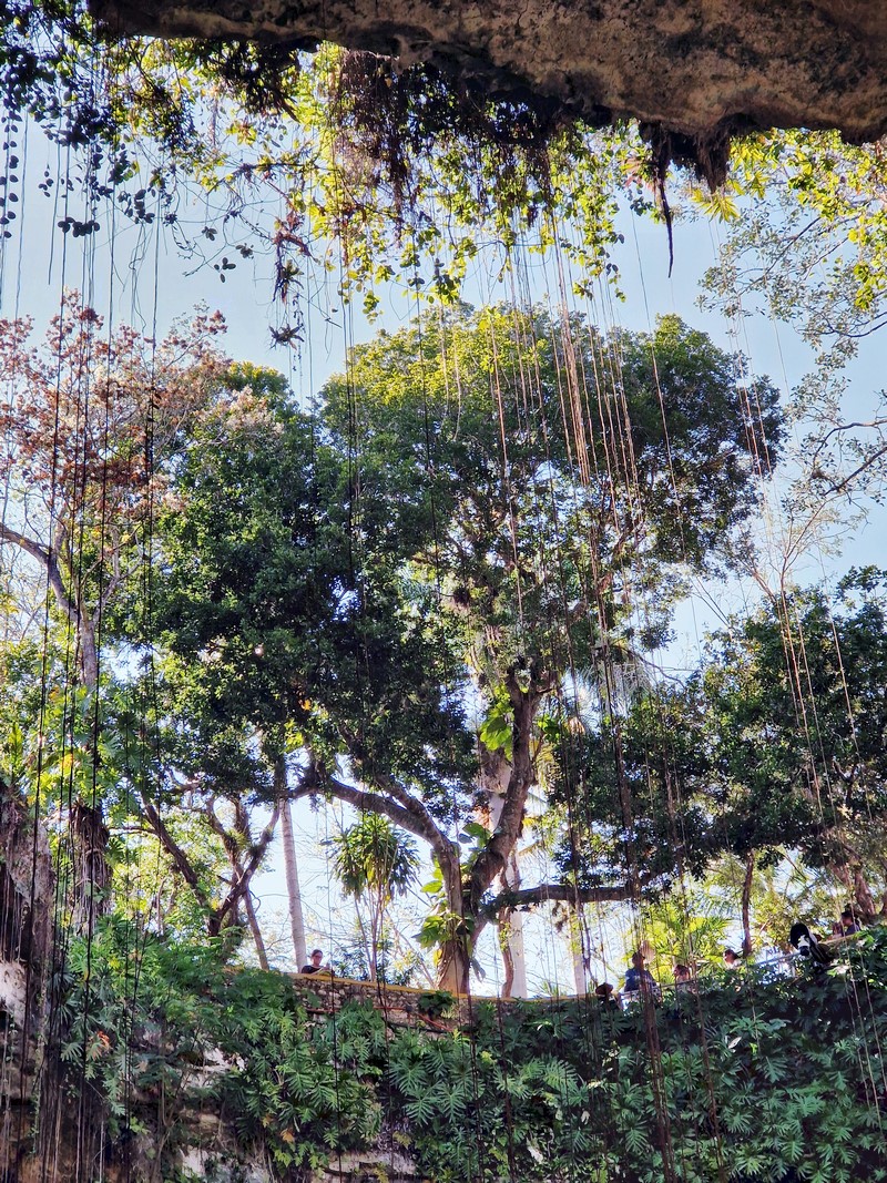 20250327_150544 (Kopiowanie).jpg