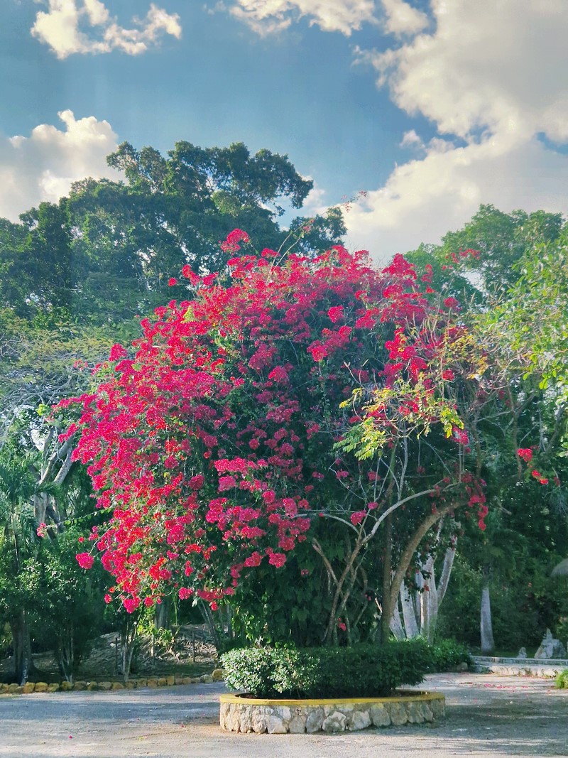 20250327_162617 (Kopiowanie).jpg