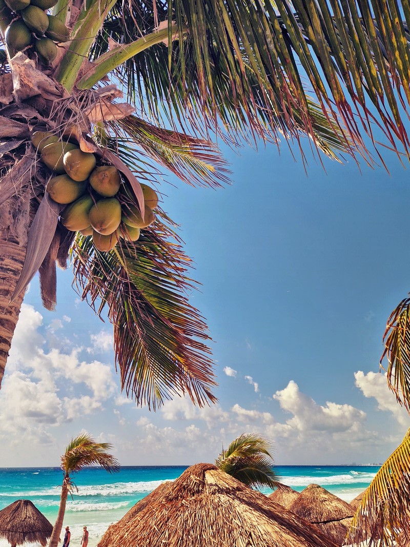 20250328_095254 (Kopiowanie).jpg