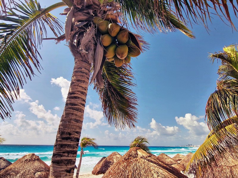 20250328_095338 (Kopiowanie).jpg