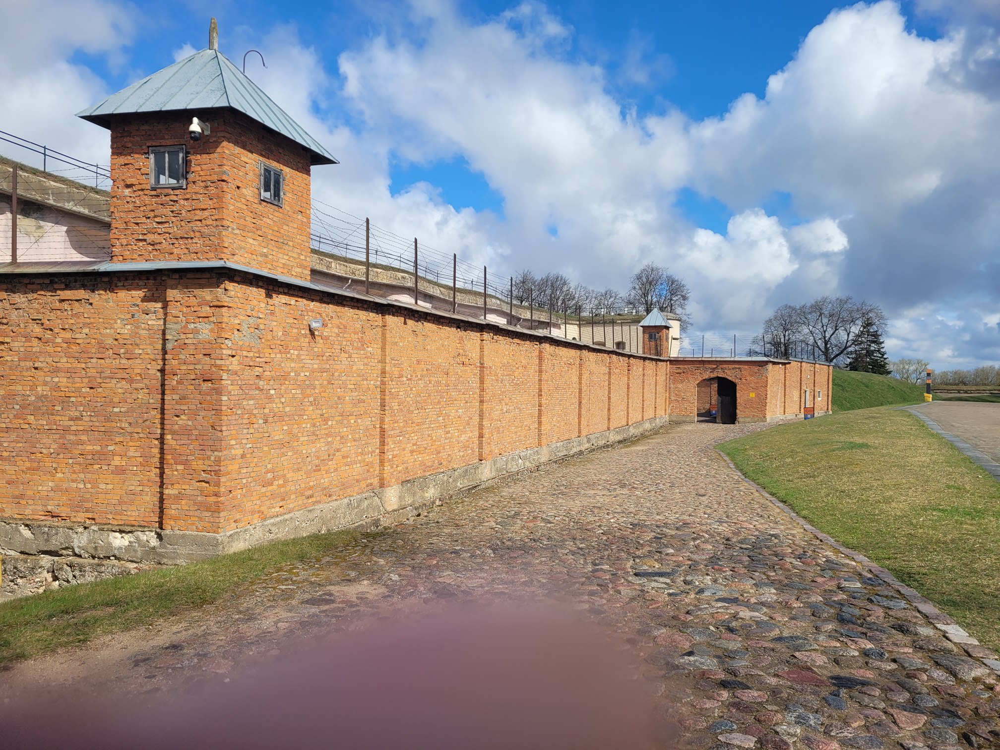 20250405_132456 (Copy).jpg