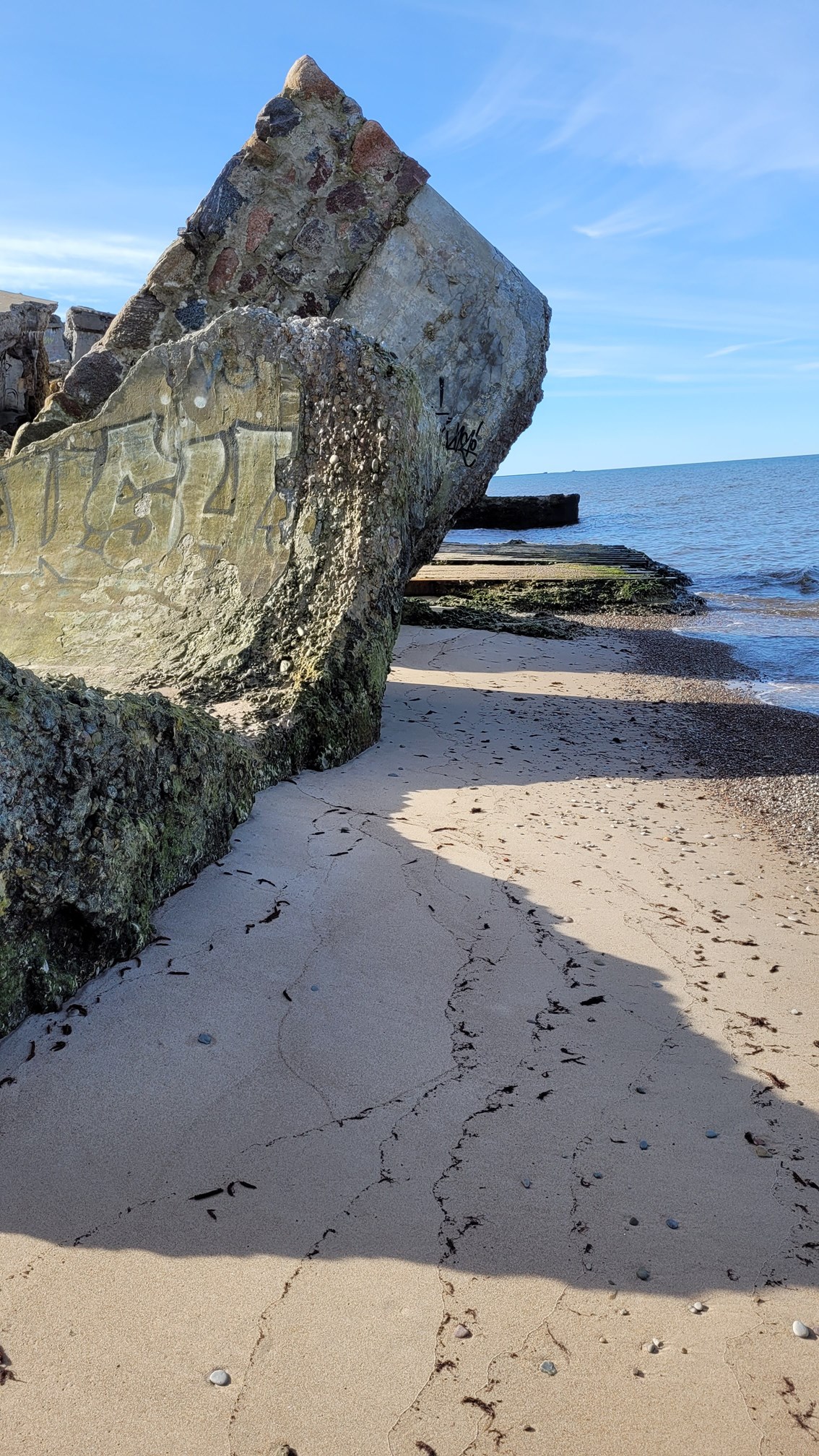 20250402_105522 (2) (Copy).jpg