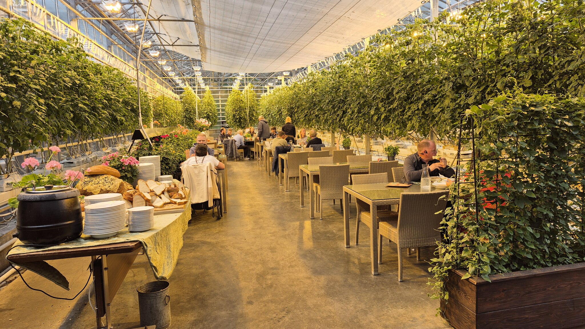 Pomidorowa restauracja / 20250608_162343_Easy-Resize.com.jpg 20250608_162343_Easy-Resize.com.jpg