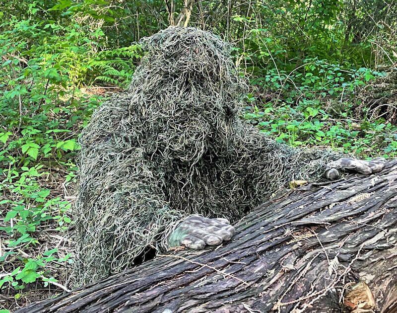 ghillie_suit.jpg