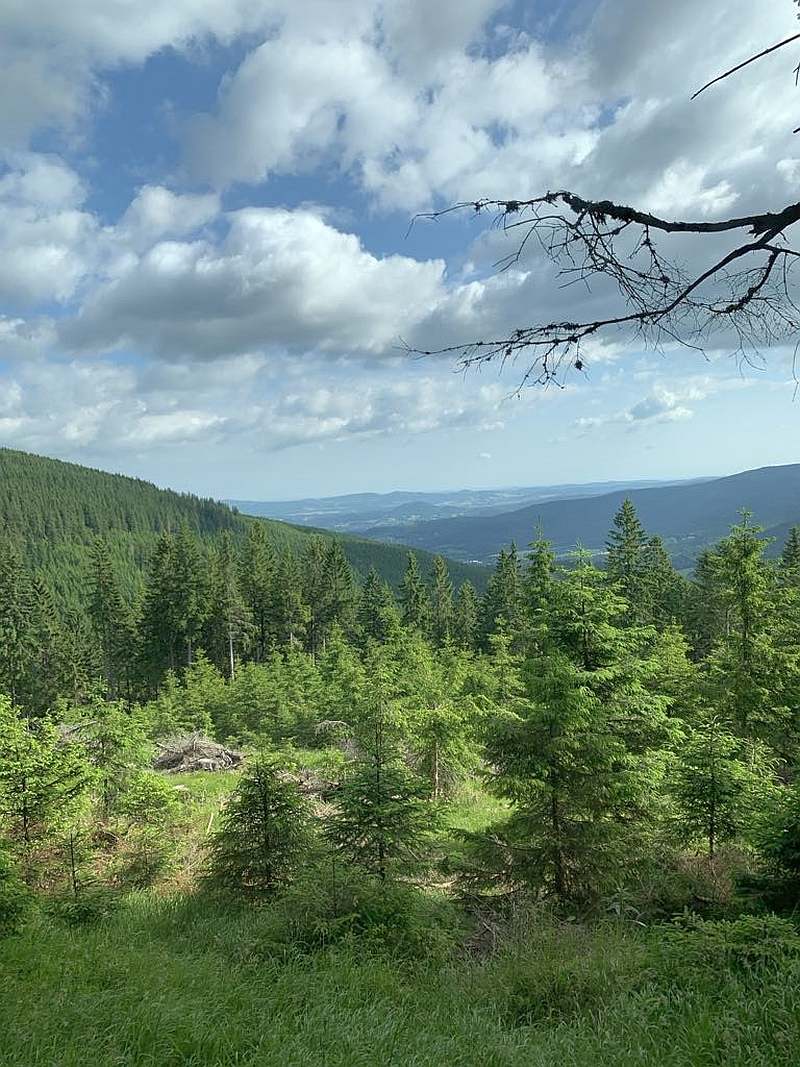 między przełęczami.jpg