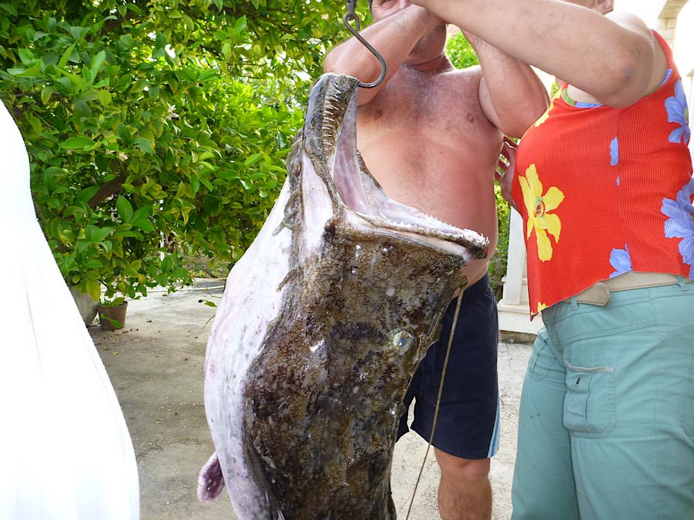 WhatsApp Image 2025-08-20 at 18.27.14.jpeg