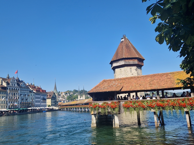 20250808_164147 (Kopiowanie).jpg