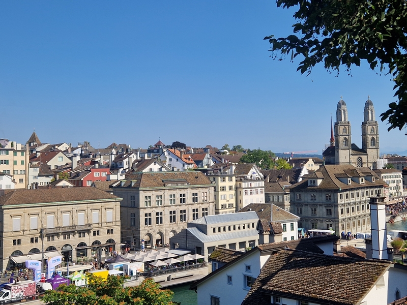 20250809_165309 (Kopiowanie).jpg