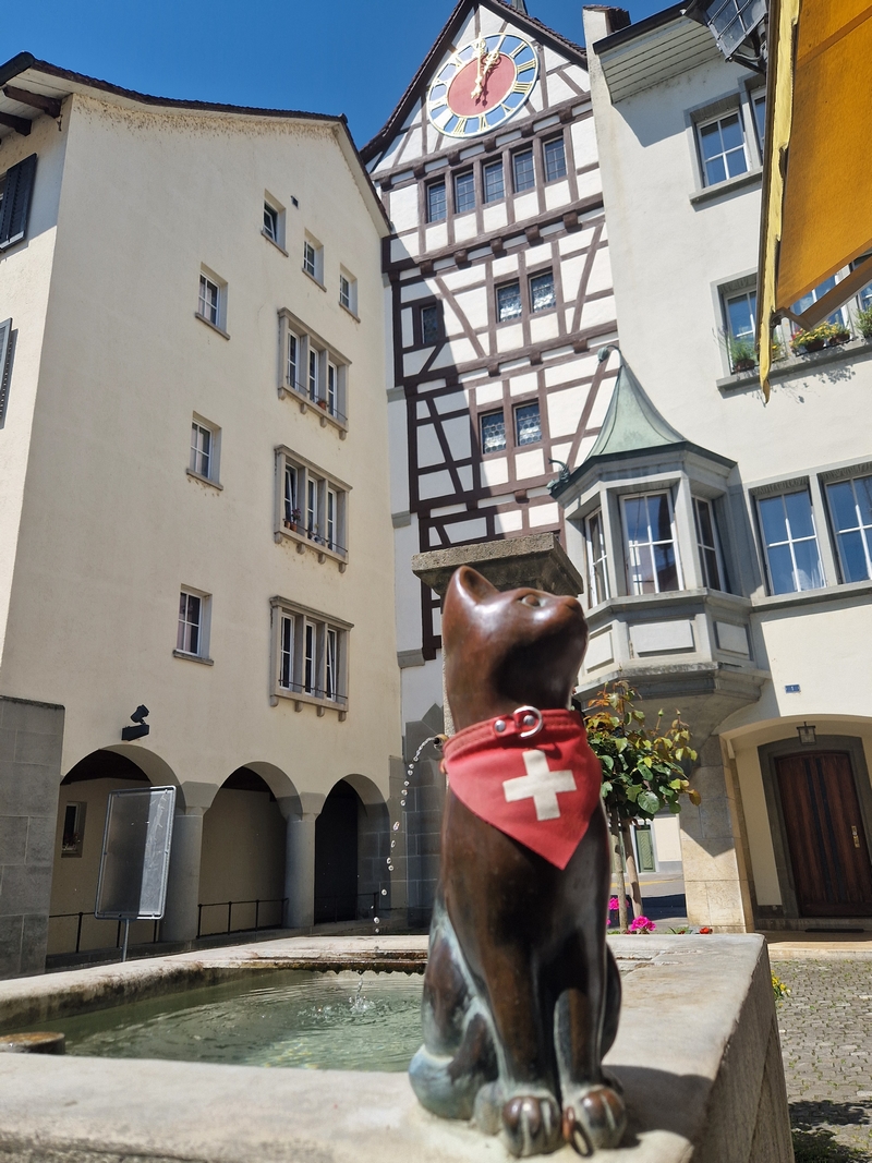 20250808_130126 (Kopiowanie).jpg