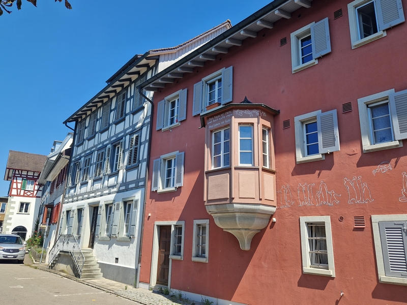 20250808_122036 (Kopiowanie).jpg