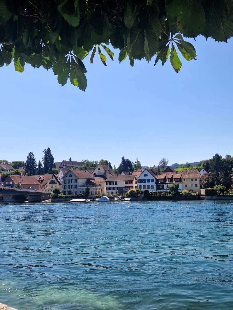 20250808_122103 (Kopiowanie).jpg