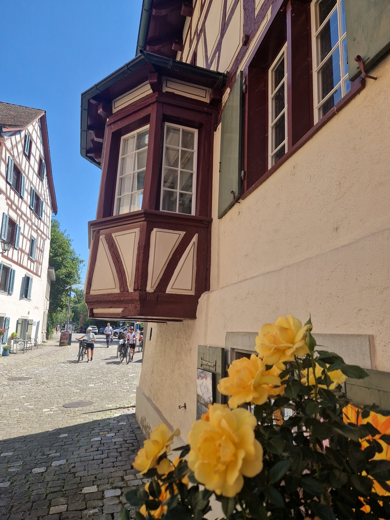 20250808_123237 (Kopiowanie).jpg