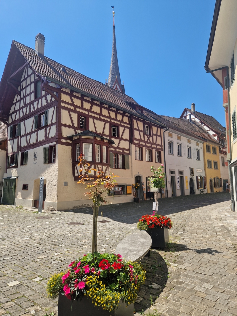 20250808_123835 (Kopiowanie).jpg