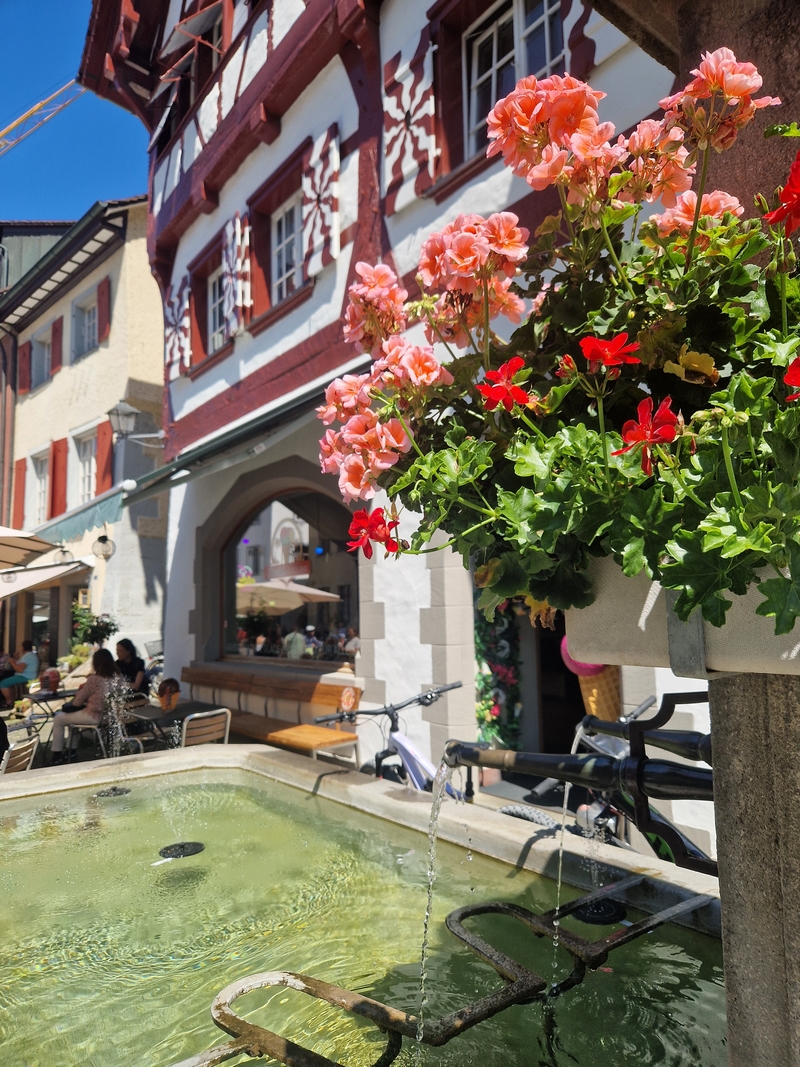 20250808_125222 (Kopiowanie).jpg