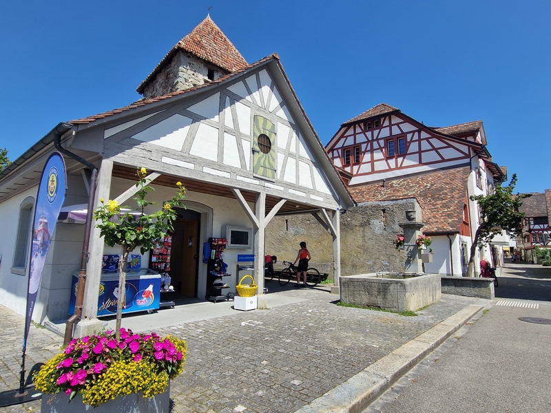 20250808_130548 (Kopiowanie).jpg