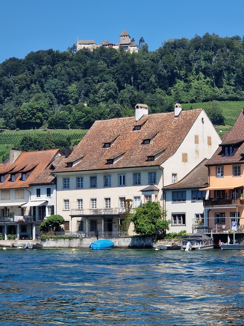 20250808_131726 (Kopiowanie).jpg