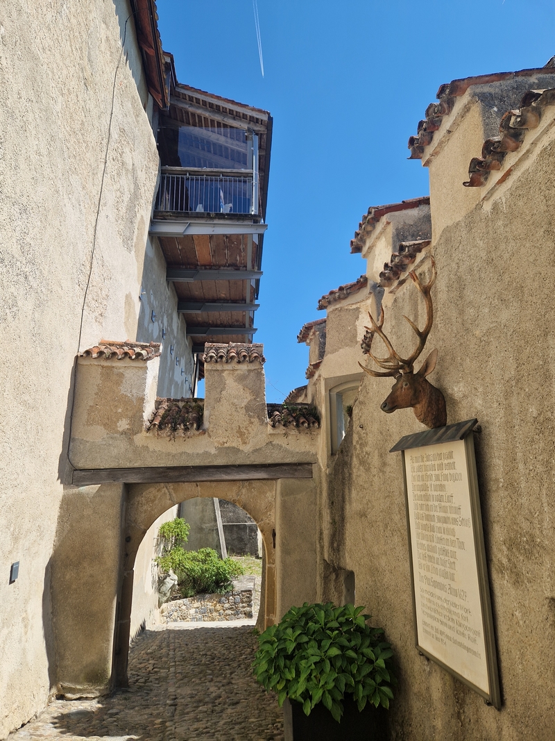 20250808_135204 (Kopiowanie).jpg