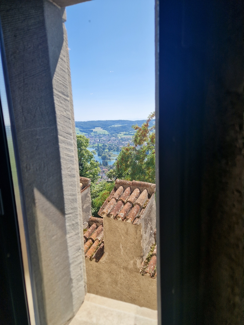 20250808_135407 (Kopiowanie).jpg