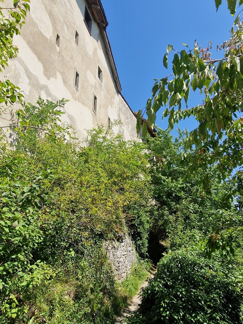 20250808_135808 (Kopiowanie) (Kopiowanie).jpg