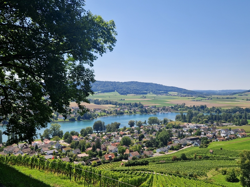 20250808_140725 (Kopiowanie).jpg