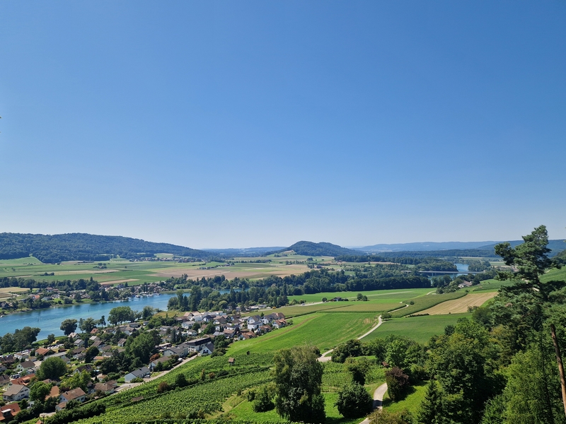 20250808_140740 (Kopiowanie).jpg