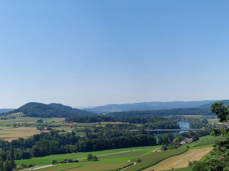 20250808_140745 (Kopiowanie).jpg