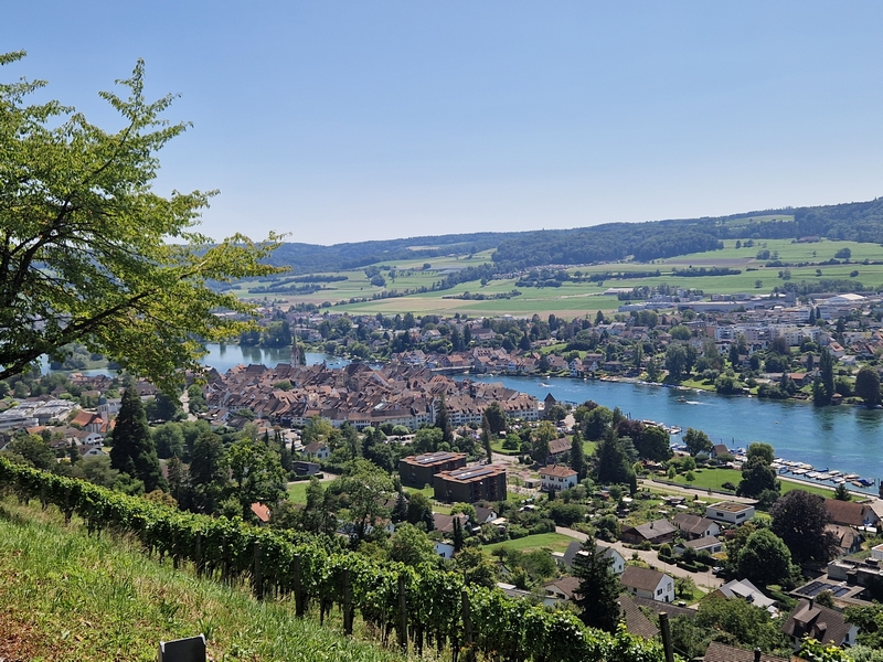 20250808_140934 (Kopiowanie).jpg