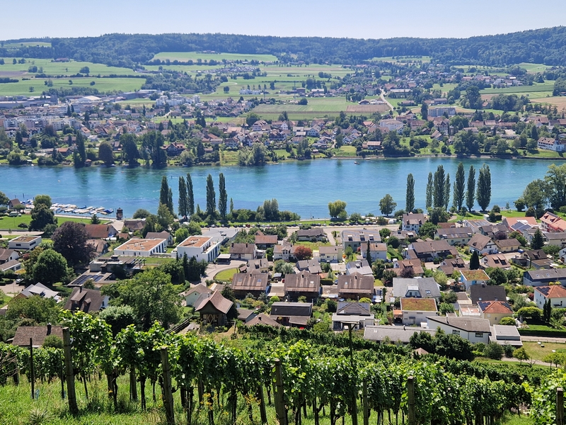 20250808_140942 (Kopiowanie).jpg