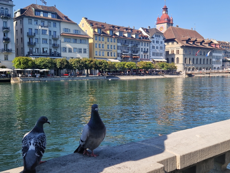 20250808_164520 (Kopiowanie).jpg