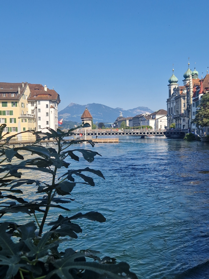 20250808_165937 (Kopiowanie).jpg