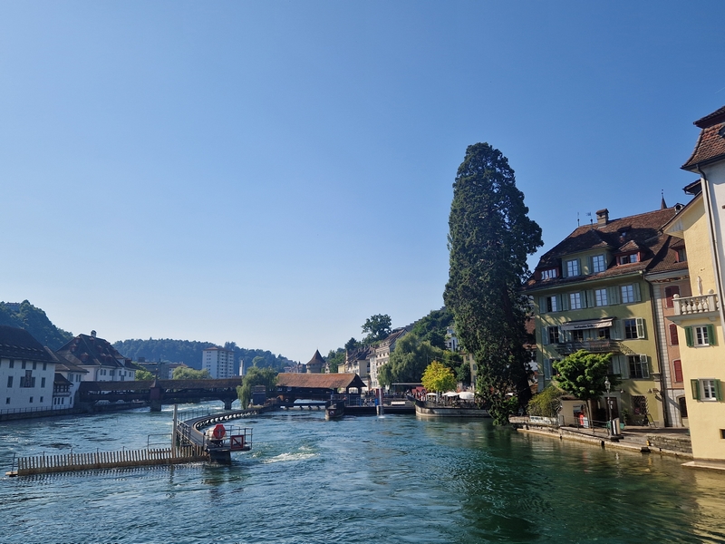 20250808_165336 (Kopiowanie).jpg