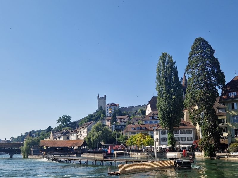 20250808_165426 (Kopiowanie).jpg