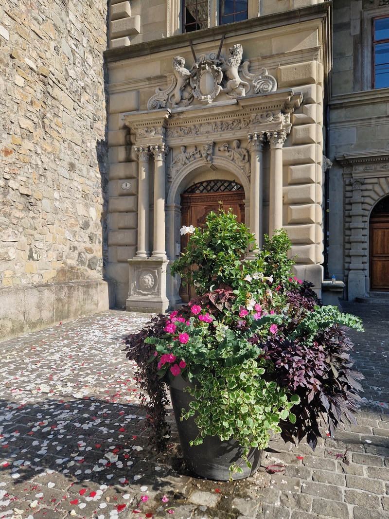 20250808_173059 (Kopiowanie).jpg