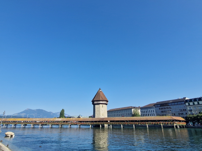 20250808_173246 (Kopiowanie).jpg