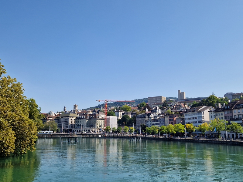 20250809_105658 (Kopiowanie).jpg