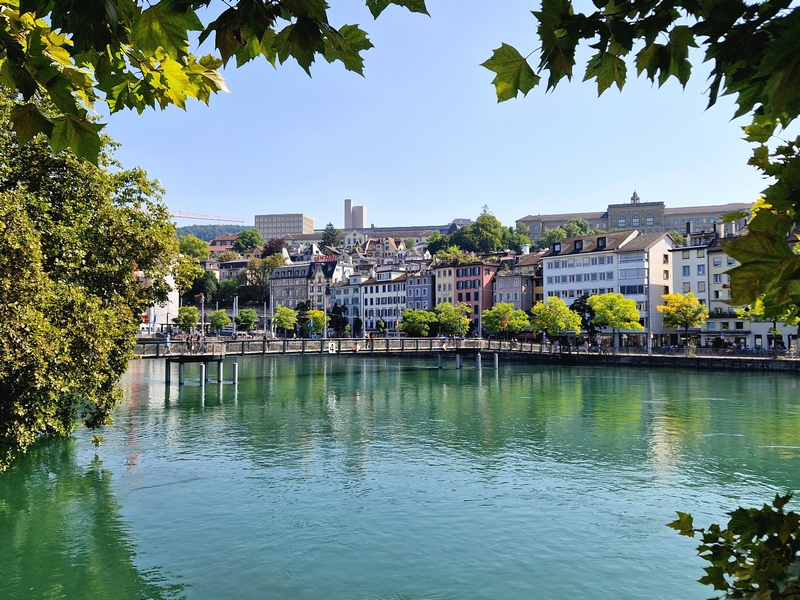 20250809_110003 (Kopiowanie).jpg